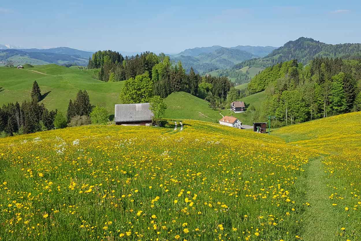 Jakobsweg Sitz Schwellbrunn
